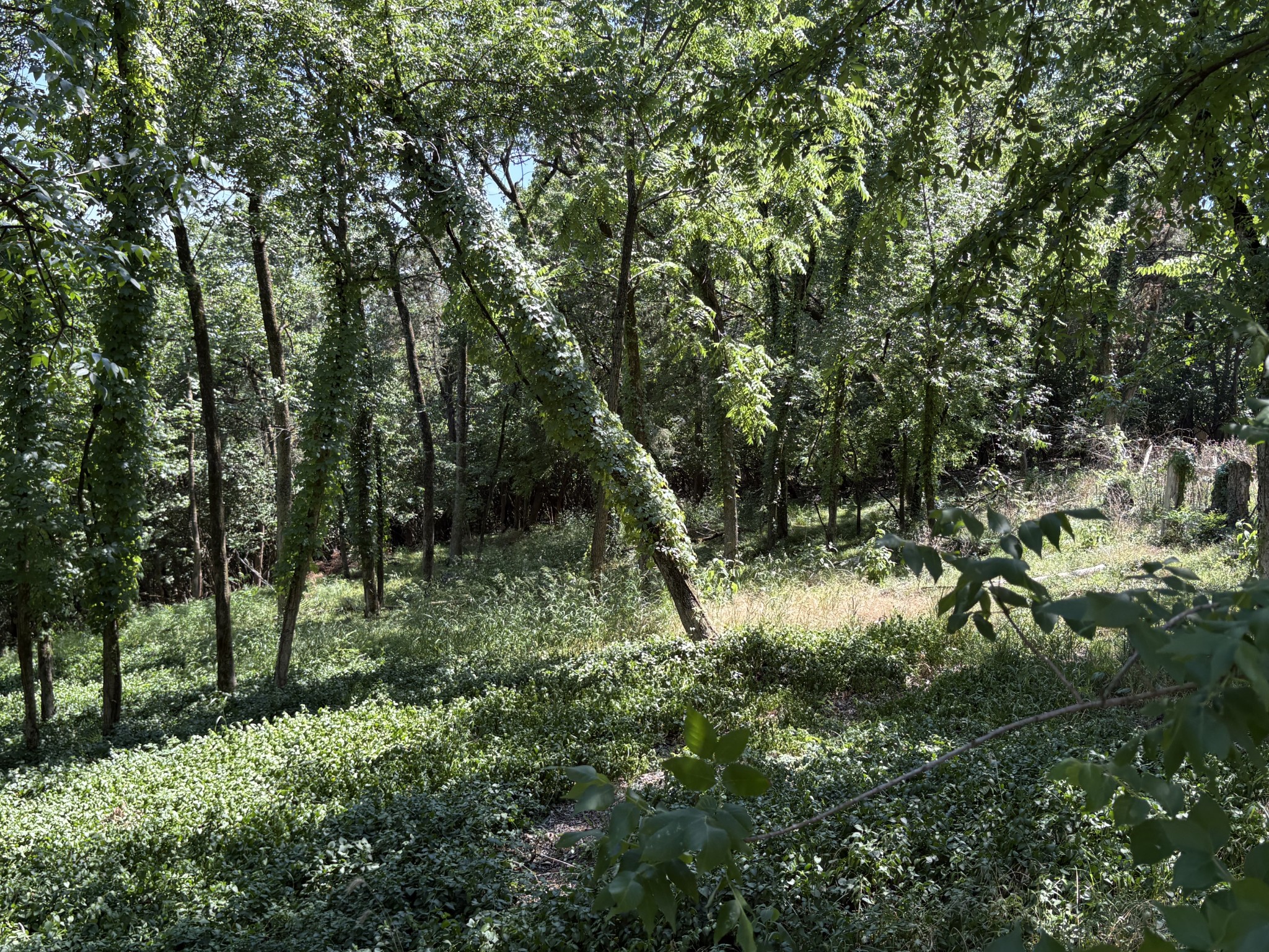 1060 Hickory Harbor Dr Property Photo 5