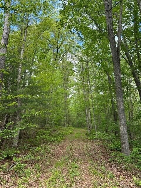 142 Cole Road Property Photo 5