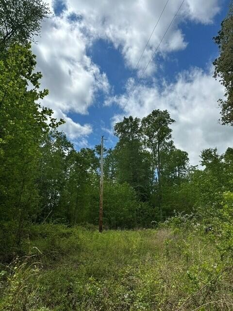 142 Cole Road Property Photo 6