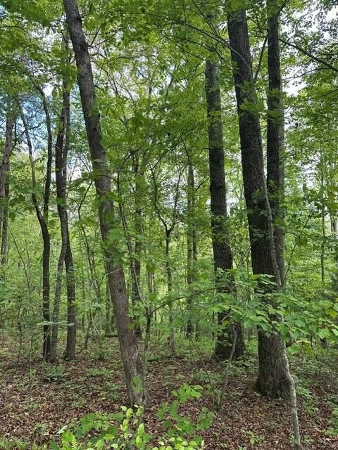 142 Cole Road Property Photo 9