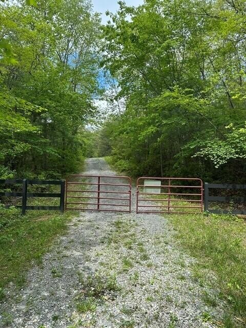 142 Cole Road Property Photo 12