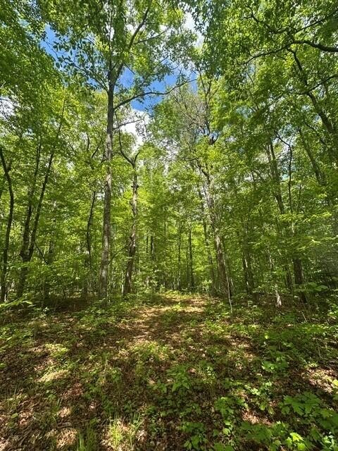 142 Cole Road Property Photo 29