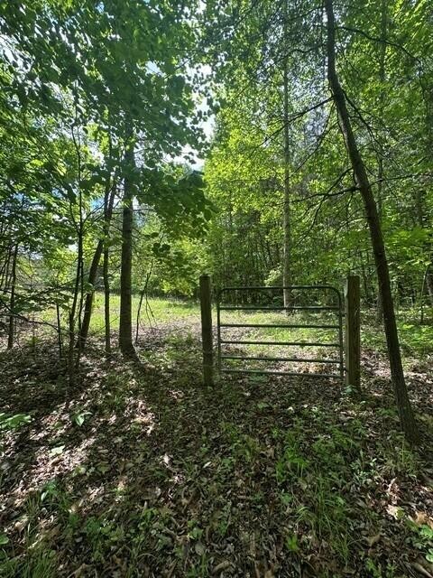 142 Cole Road Property Photo 30