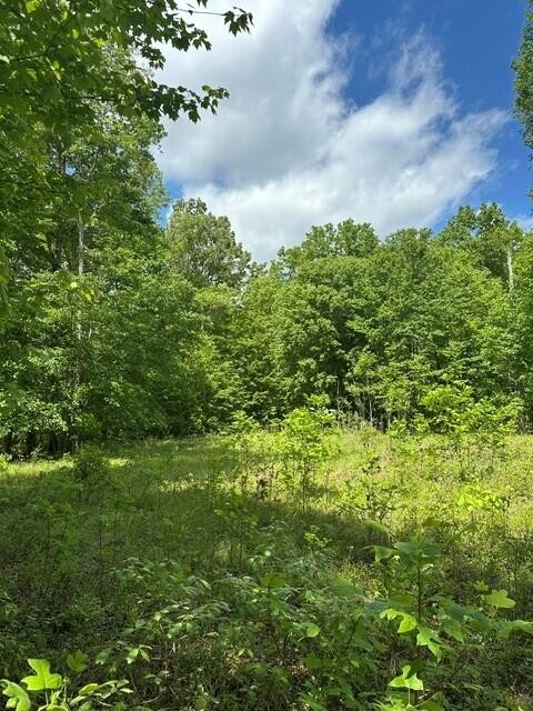 142 Cole Road Property Photo 33