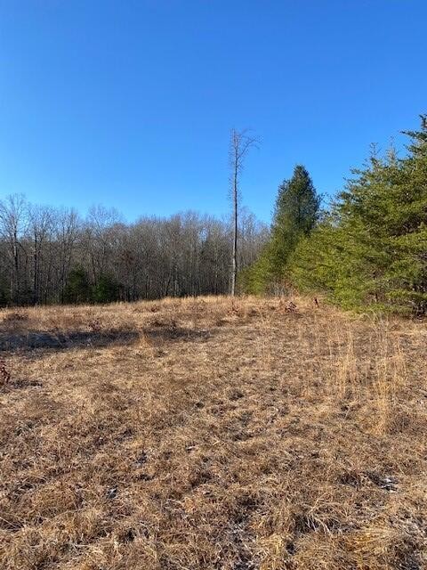 142 Cole Road Property Photo 44