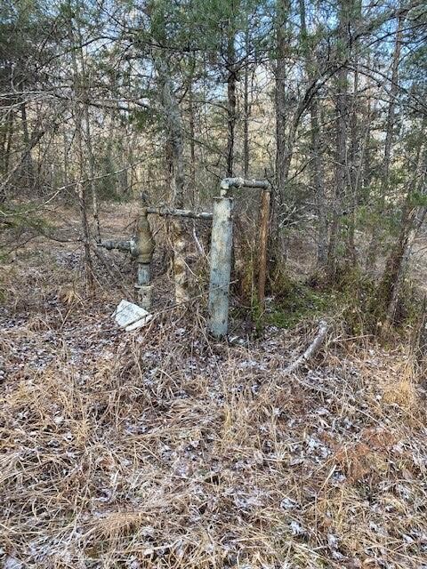142 Cole Road Property Photo 59
