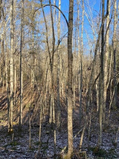 142 Cole Road Property Photo 64