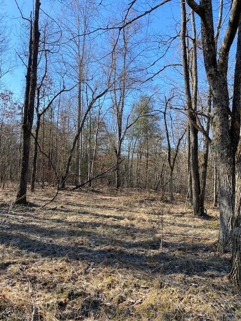 142 Cole Road Property Photo 66