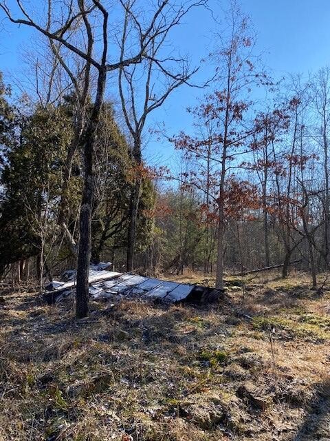 142 Cole Road Property Photo 67