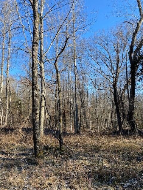 142 Cole Road Property Photo 68