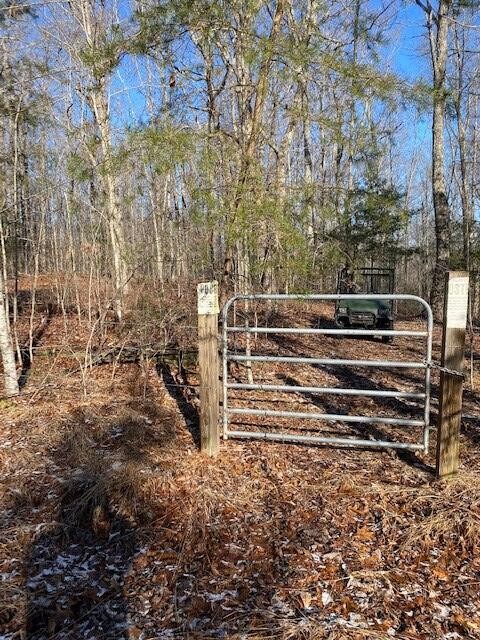 142 Cole Road Property Photo 71