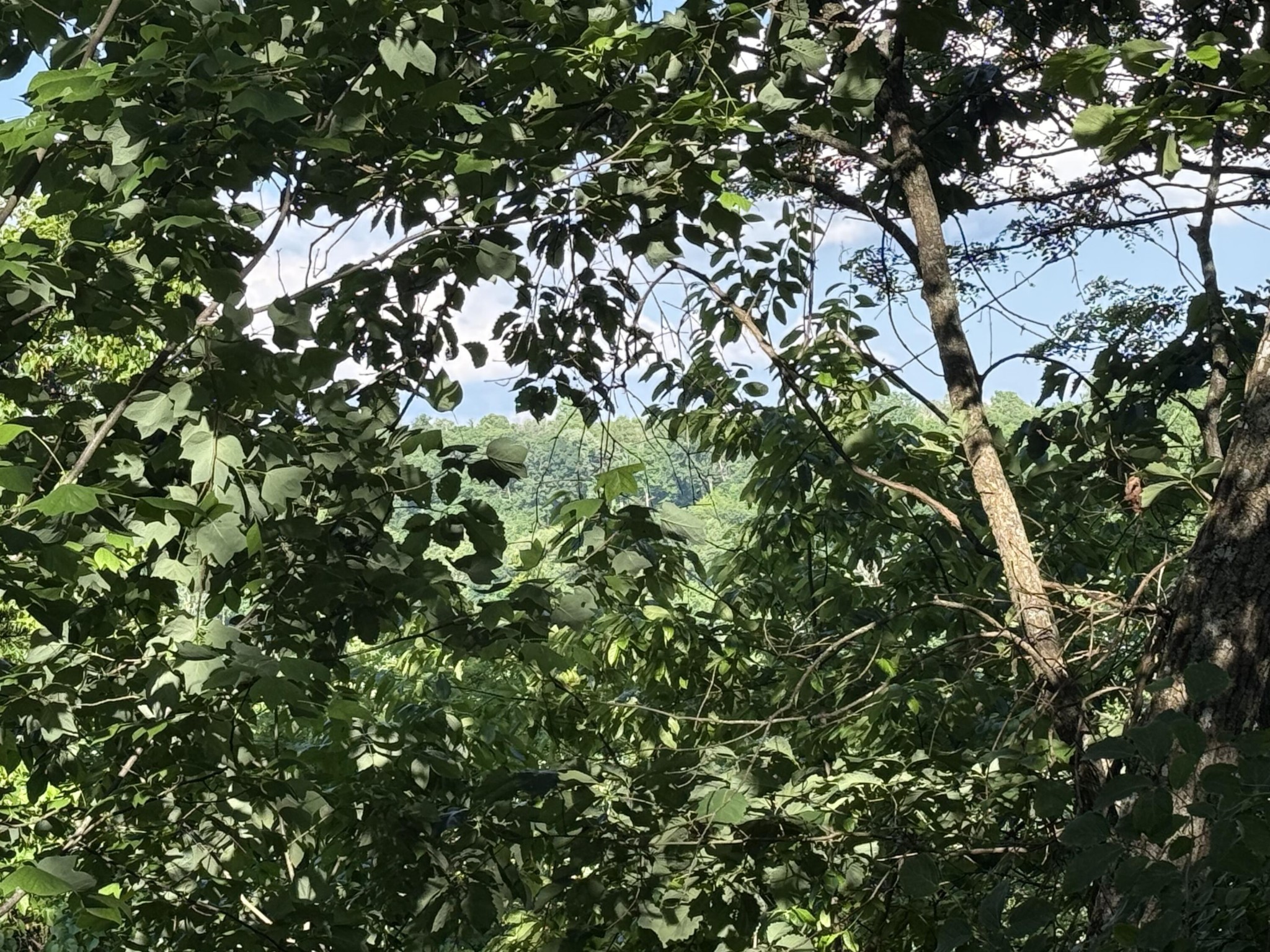 214 Middle Ridge Road Property Photo 1