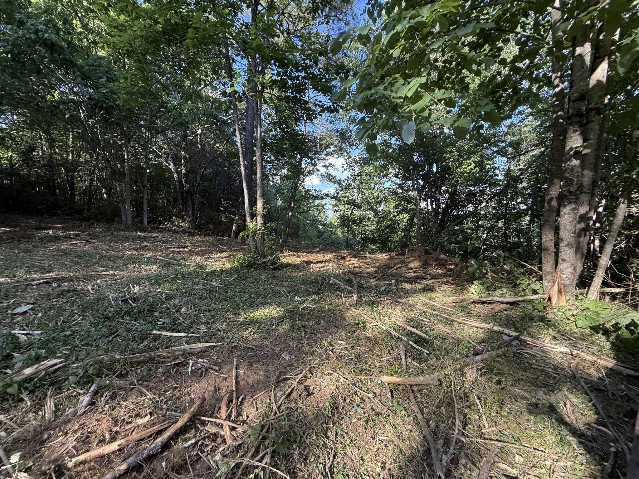 214 Middle Ridge Road Property Photo 7