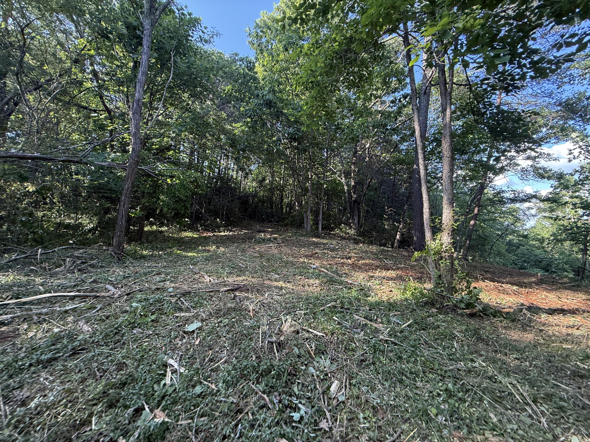 214 Middle Ridge Road Property Photo 8