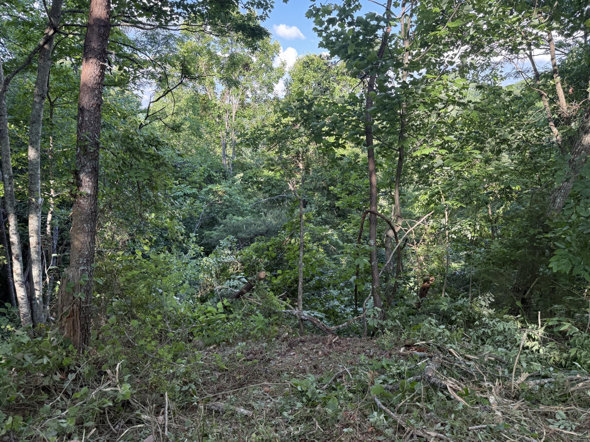 214 Middle Ridge Road Property Photo 9