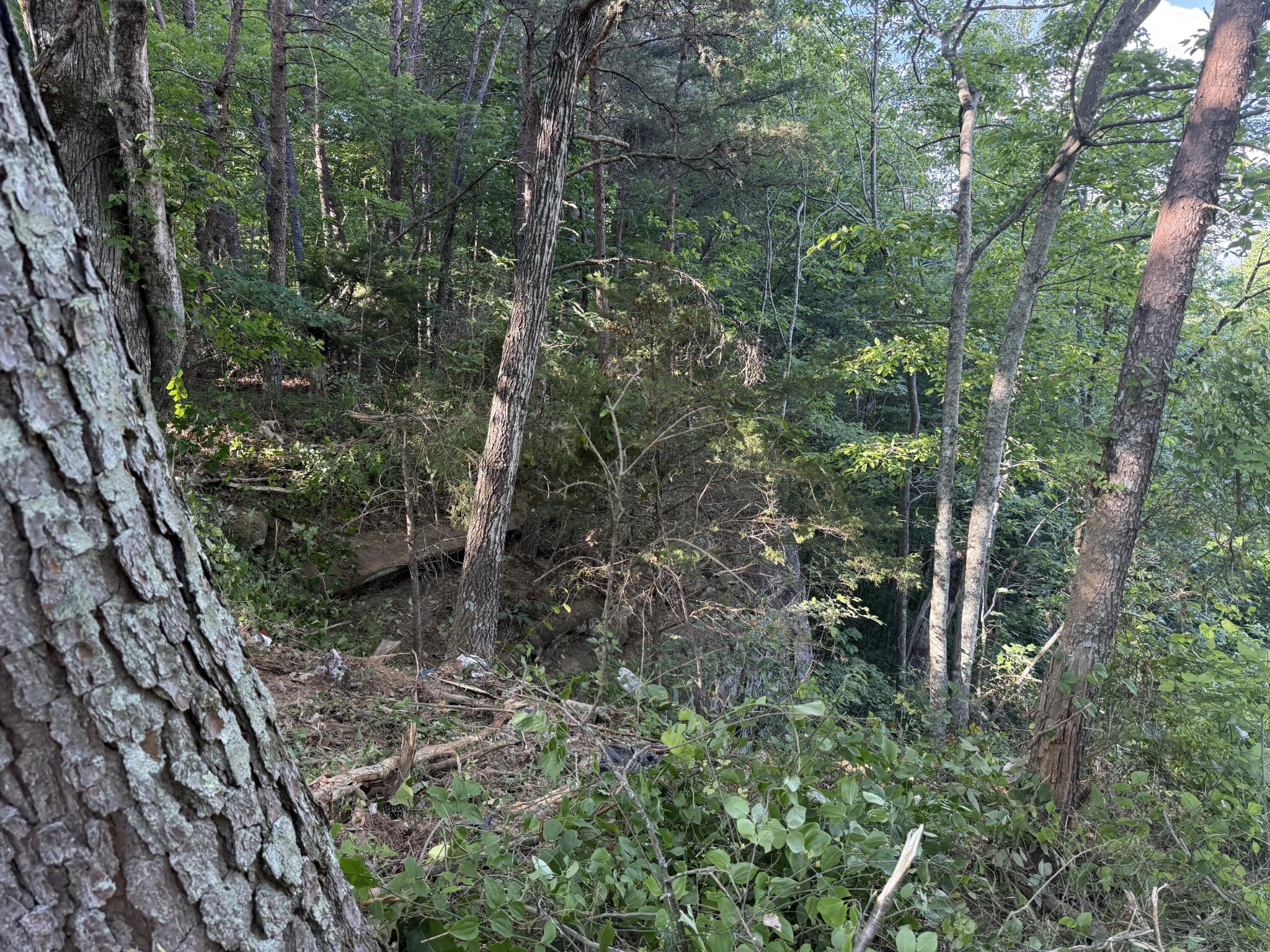 214 Middle Ridge Road Property Photo 10