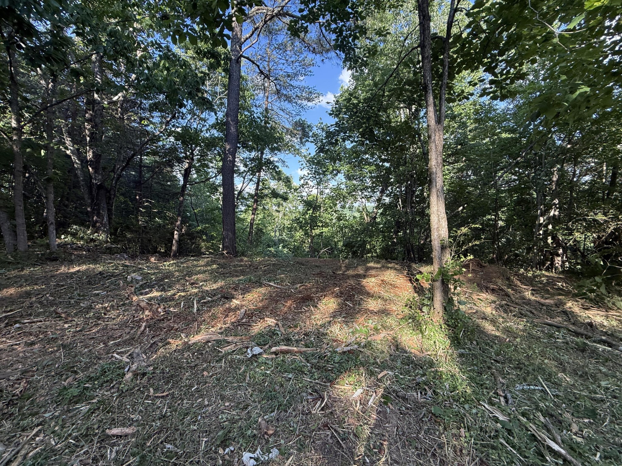 214 Middle Ridge Road Property Photo 11