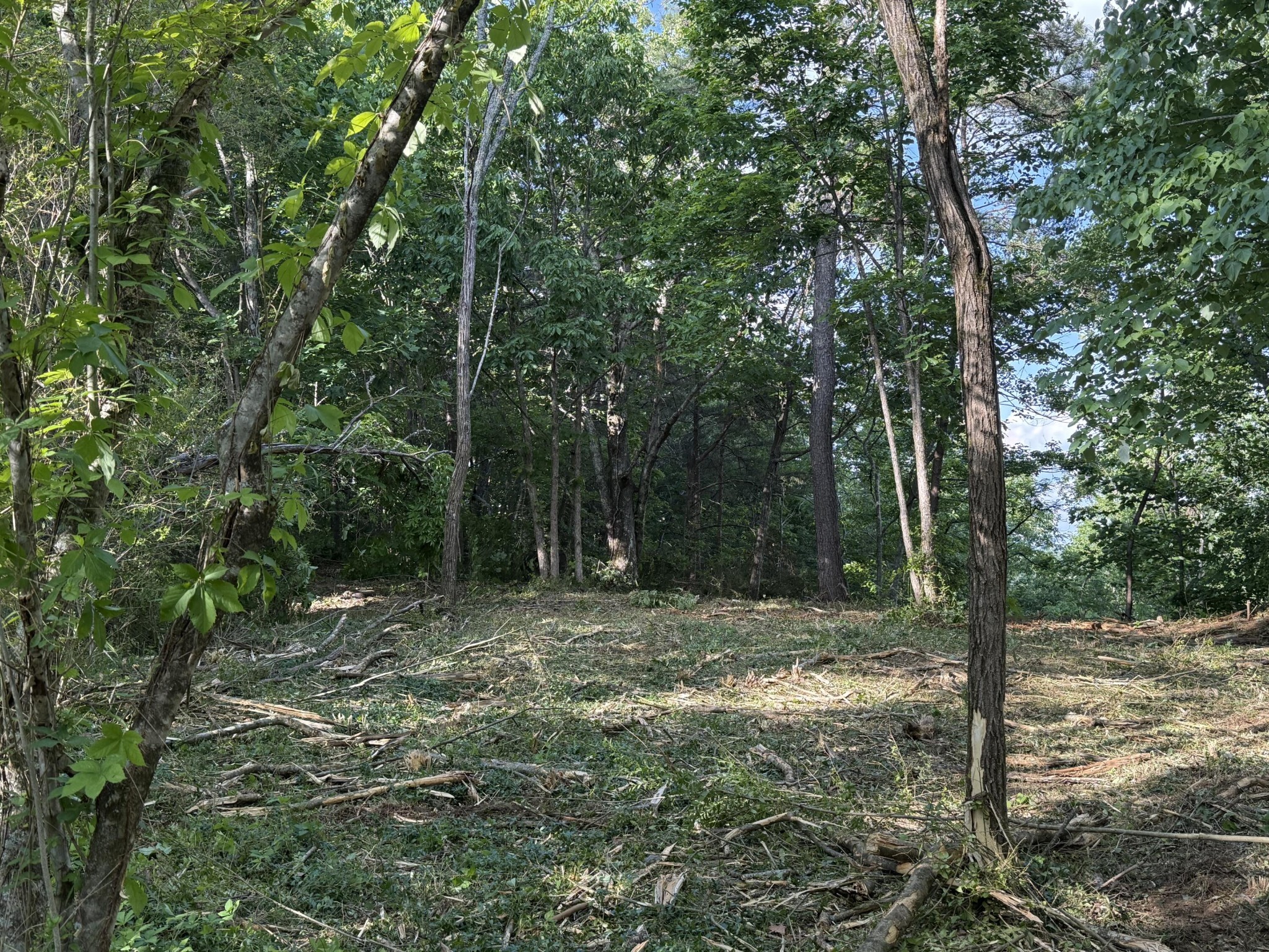 214 Middle Ridge Road Property Photo 16