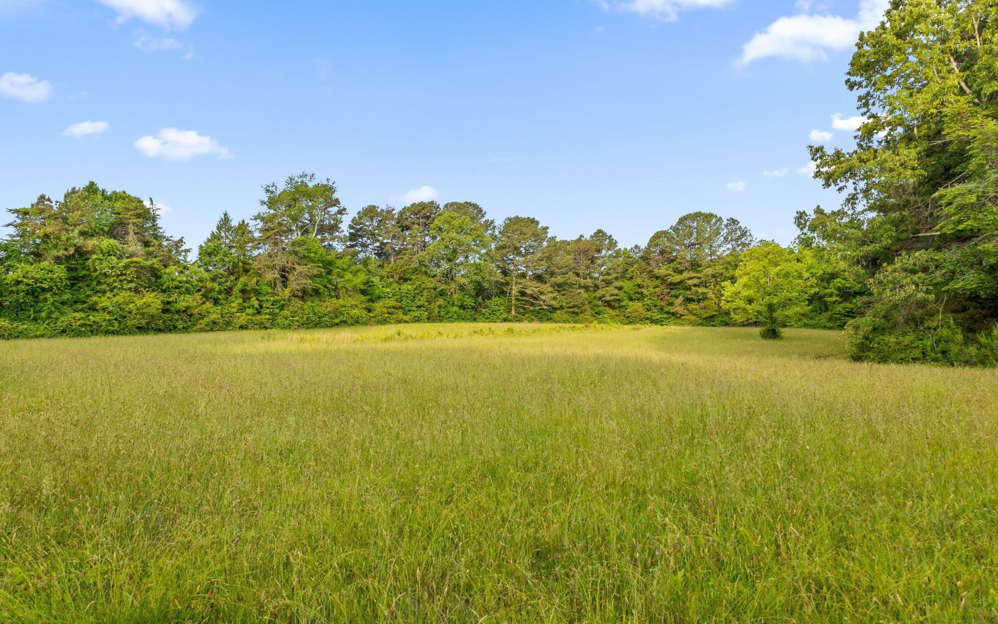 5513 Old Hunter Road Property Photo 1
