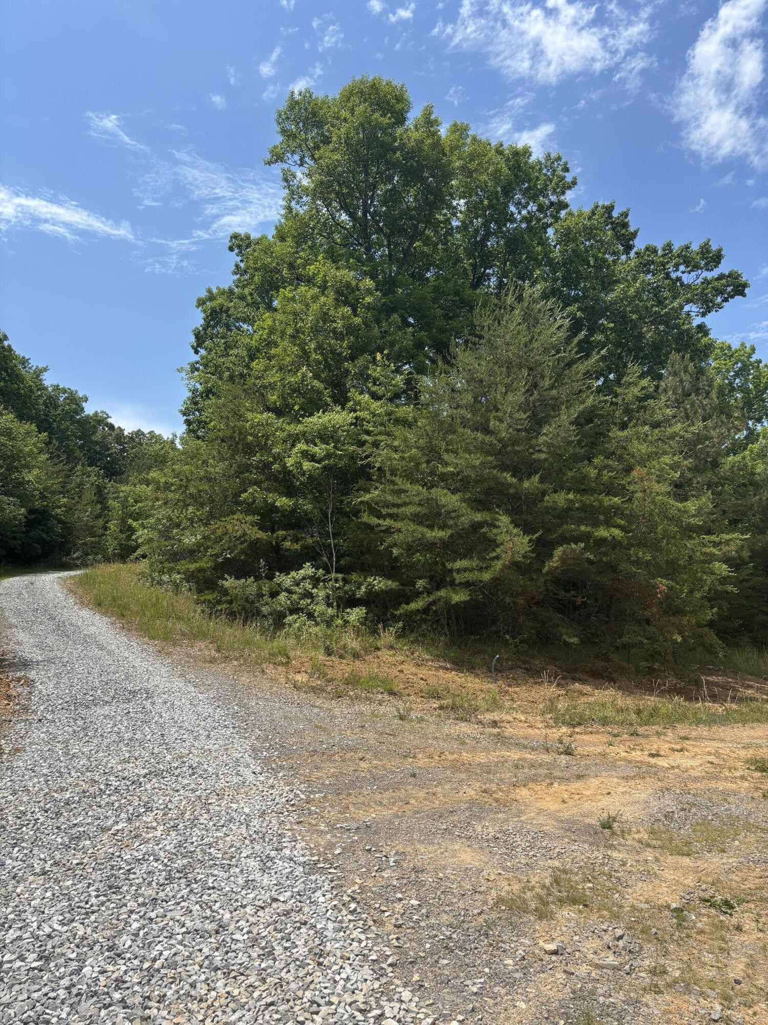 0 Sawmill Creek Rd Property Photo 2