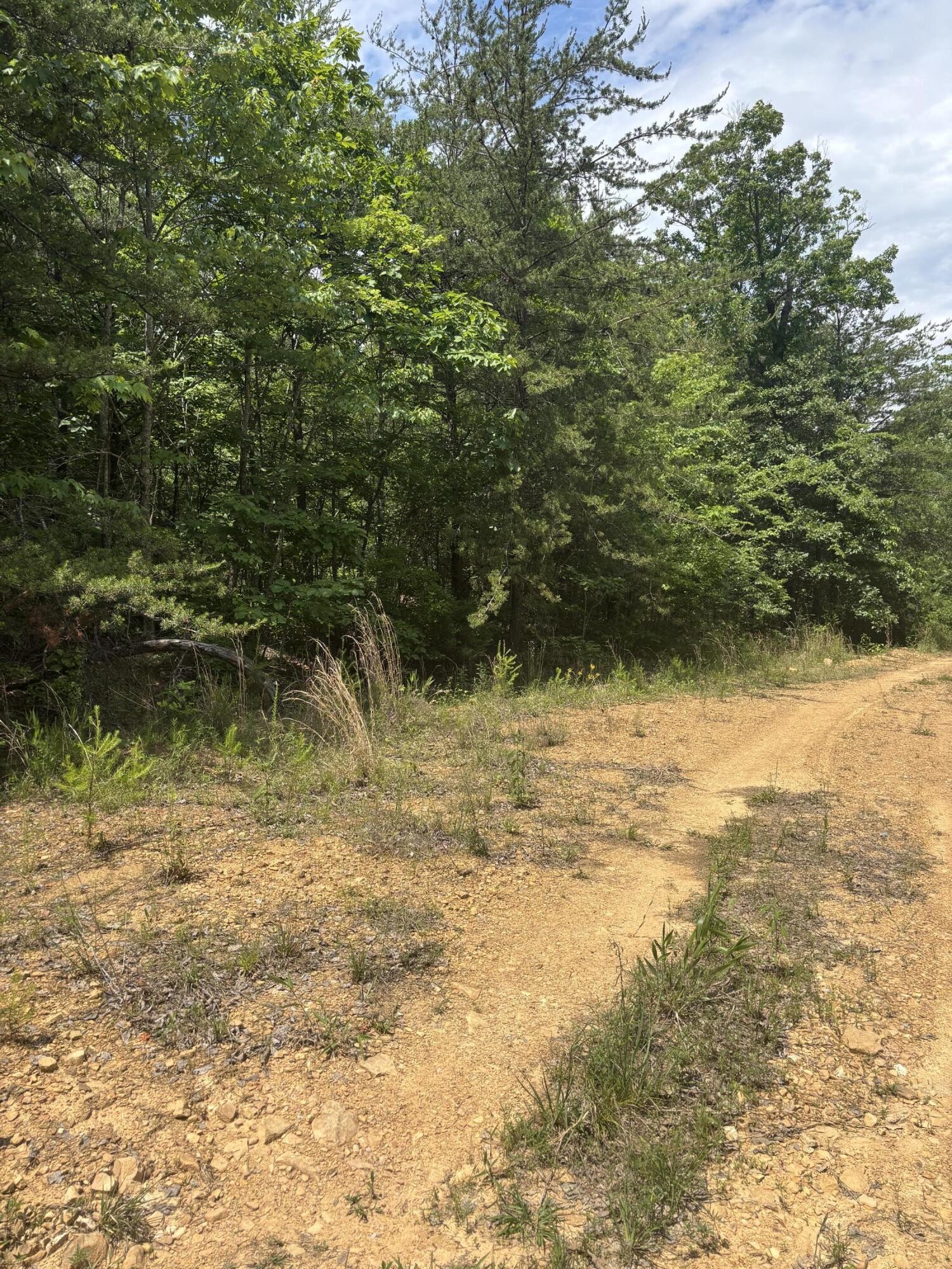 0 Sawmill Creek Rd Property Photo 4