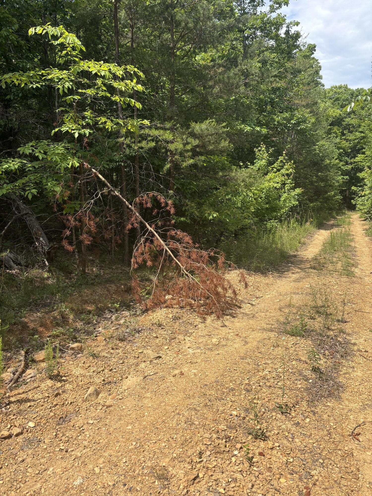 0 Sawmill Creek Rd Property Photo 5