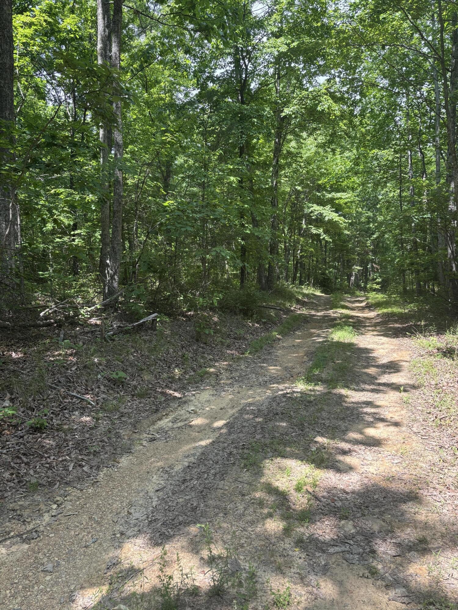 0 Sawmill Creek Rd Property Photo 7
