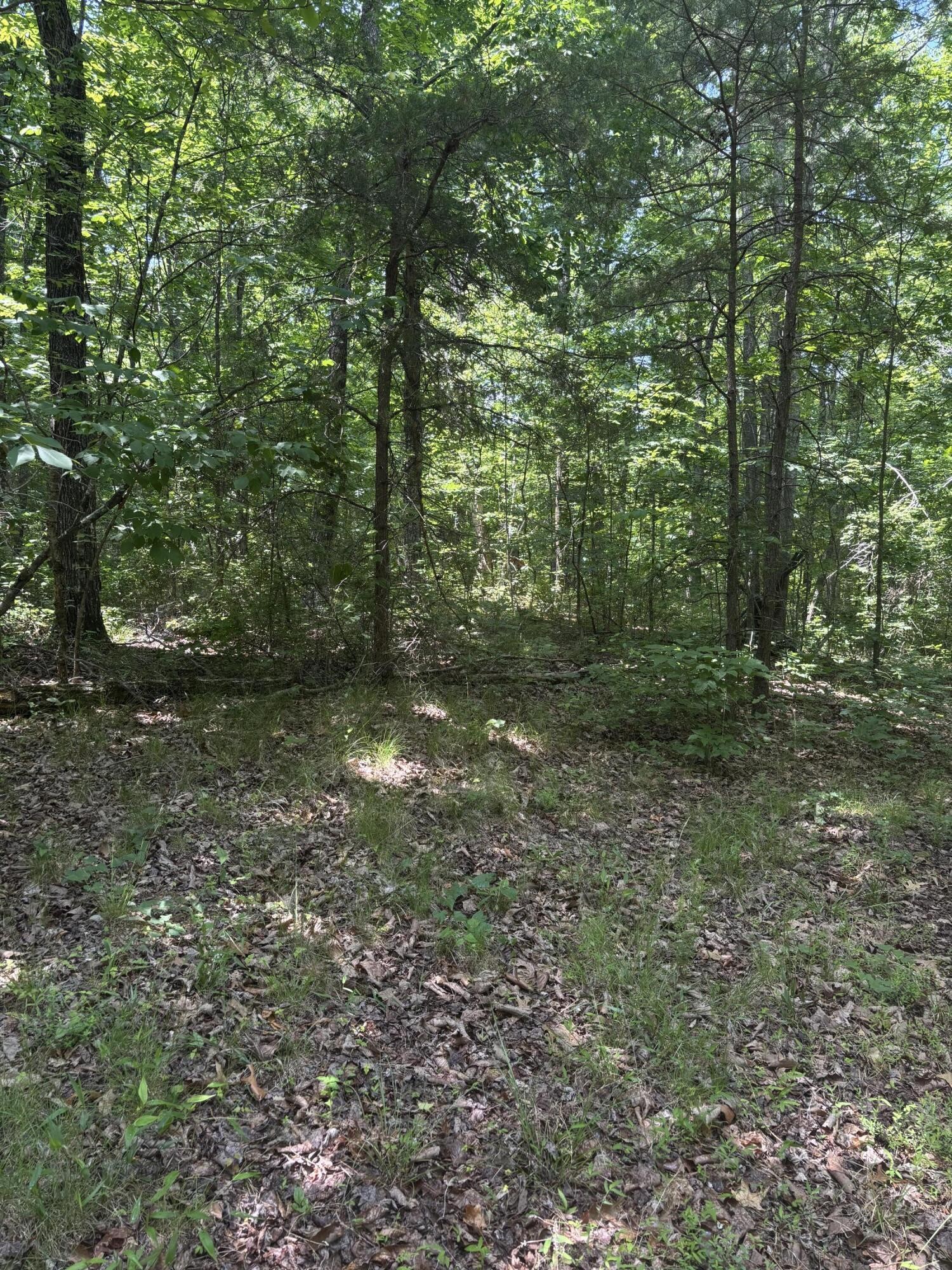 0 Sawmill Creek Rd Property Photo 8