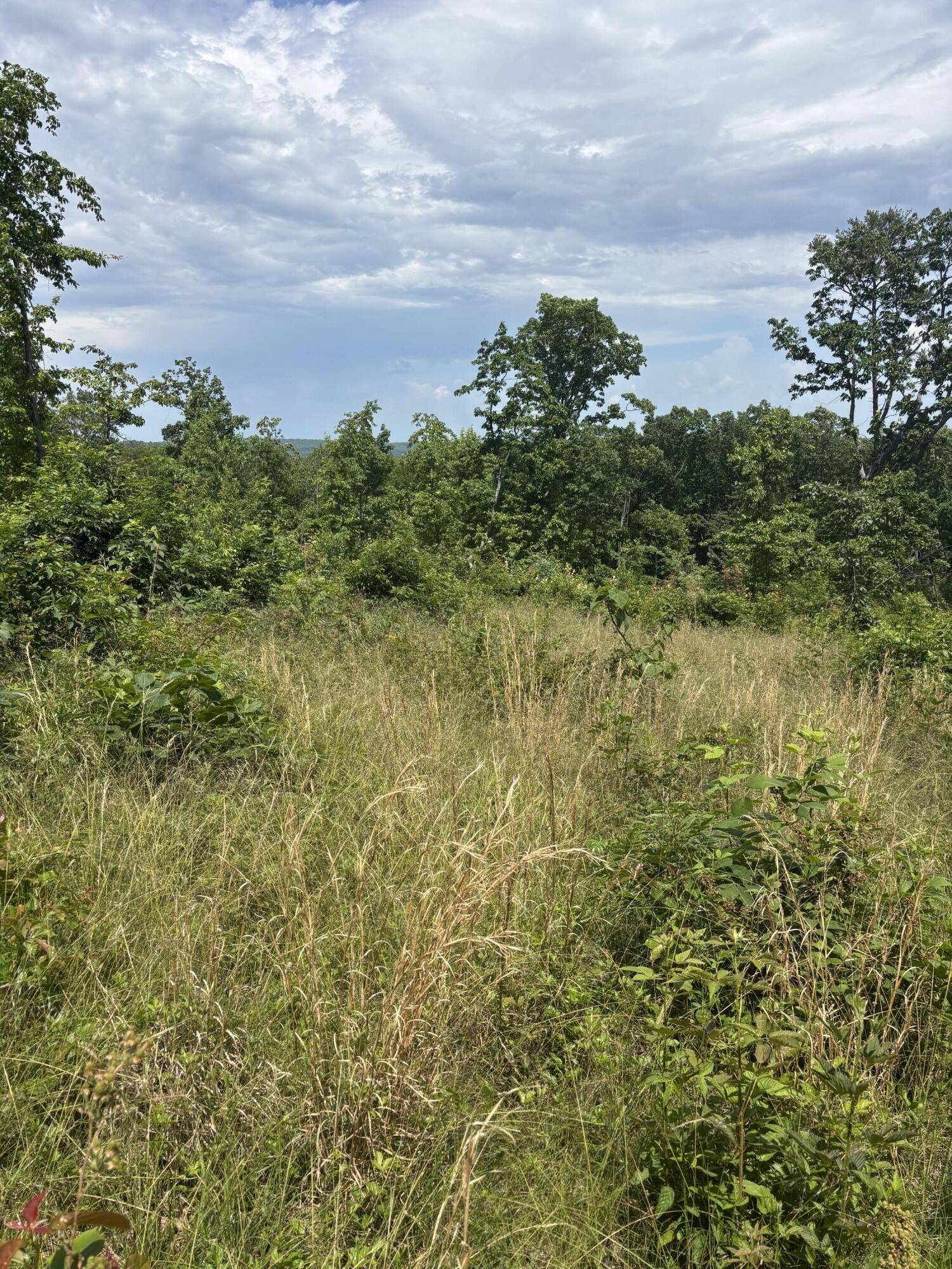 0 Sawmill Creek Rd Property Photo 10