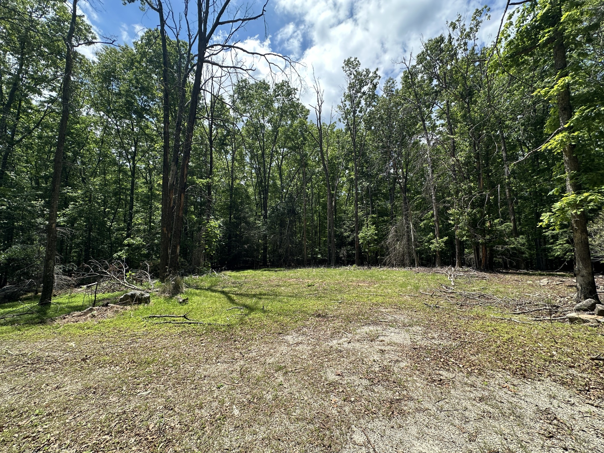1911 Hickory Pl Property Photo 4