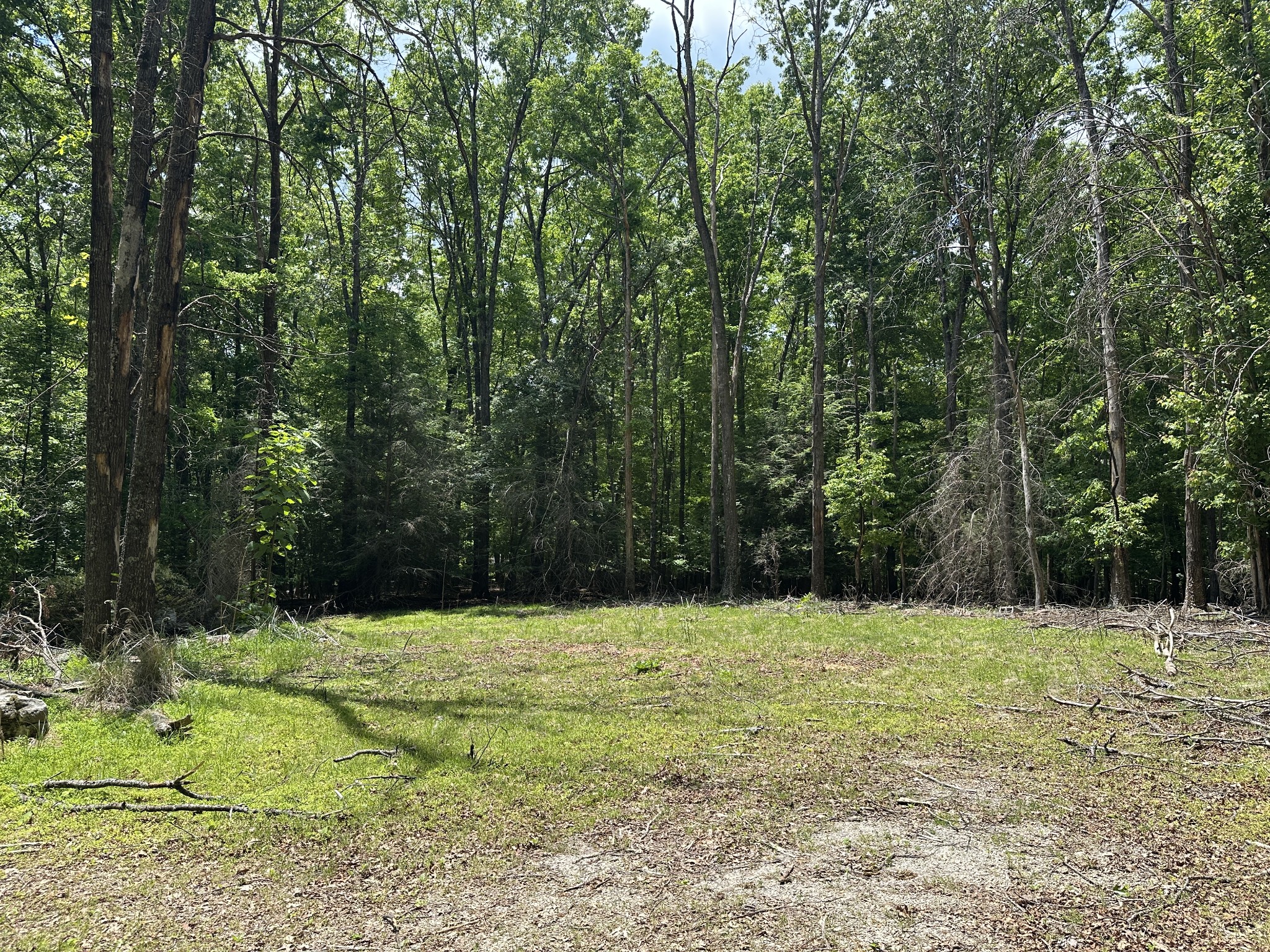 1911 Hickory Pl Property Photo 9