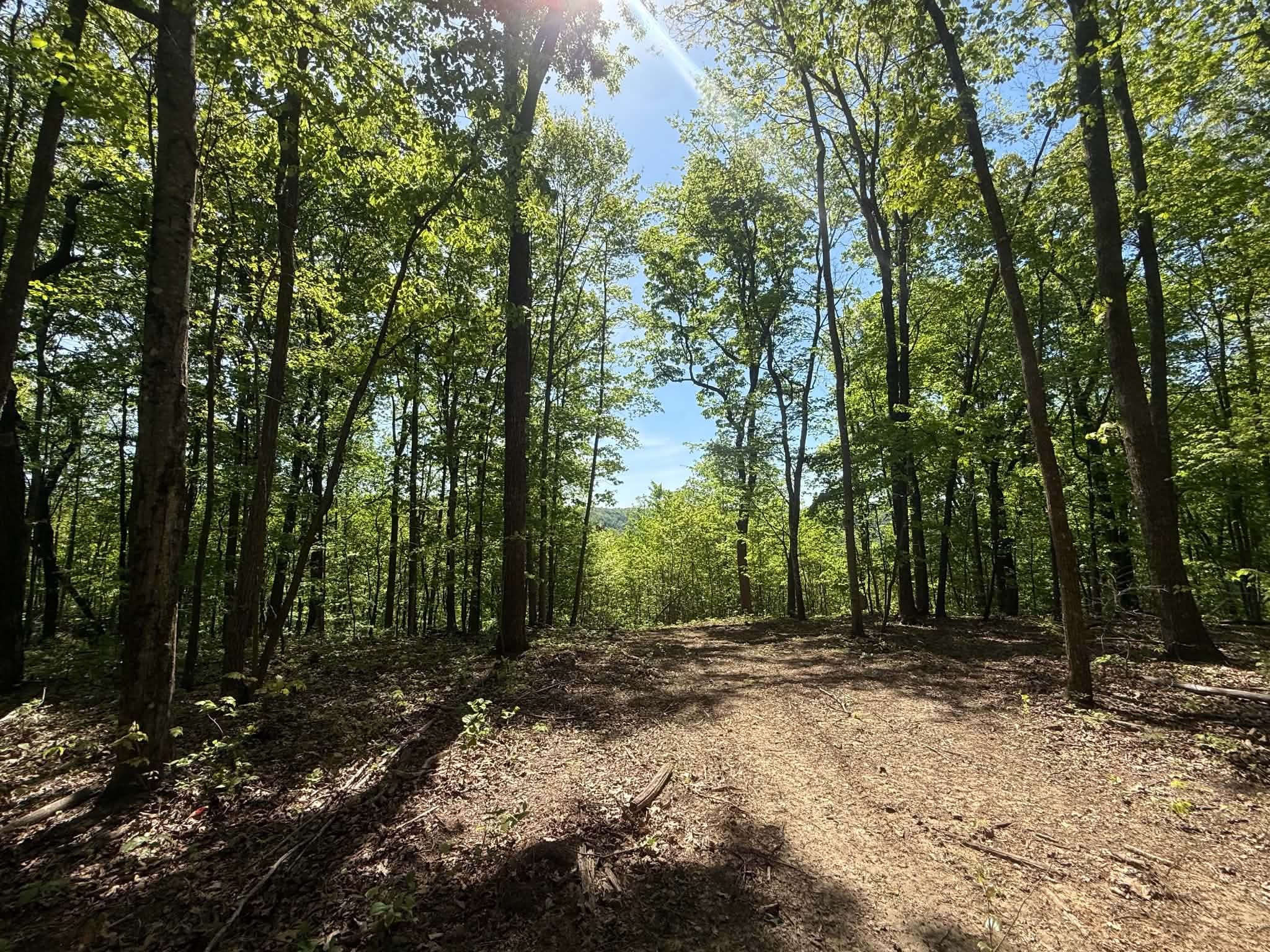 0 Laurel Lake Dr Property Photo 2