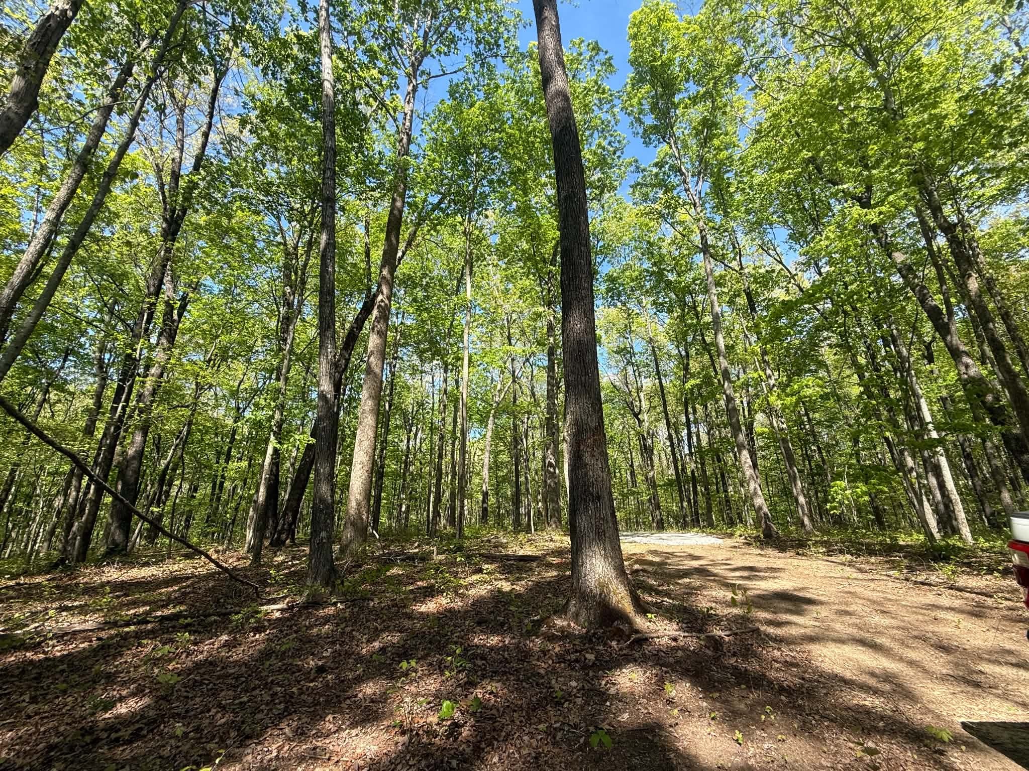 0 Laurel Lake Dr Property Photo 3