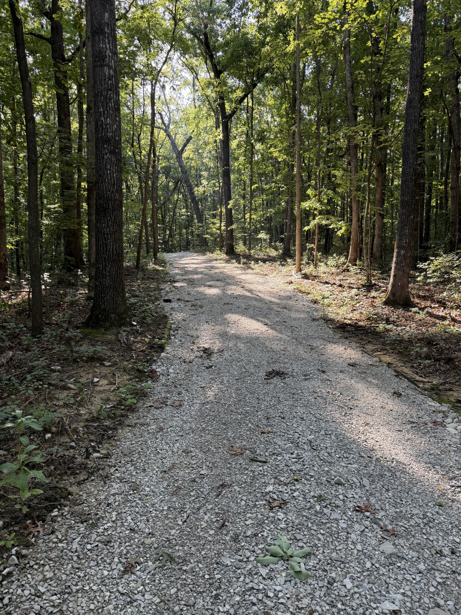 0 Laurel Lake Dr Property Photo 9