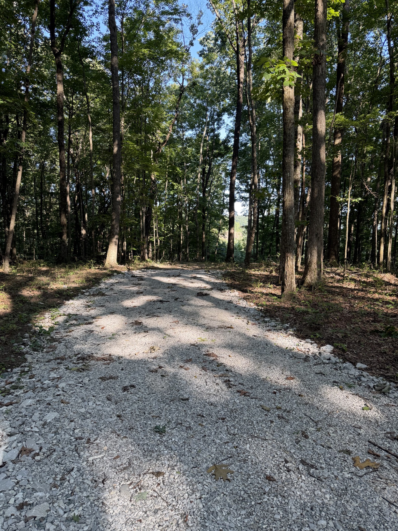 0 Laurel Lake Dr Property Photo 10