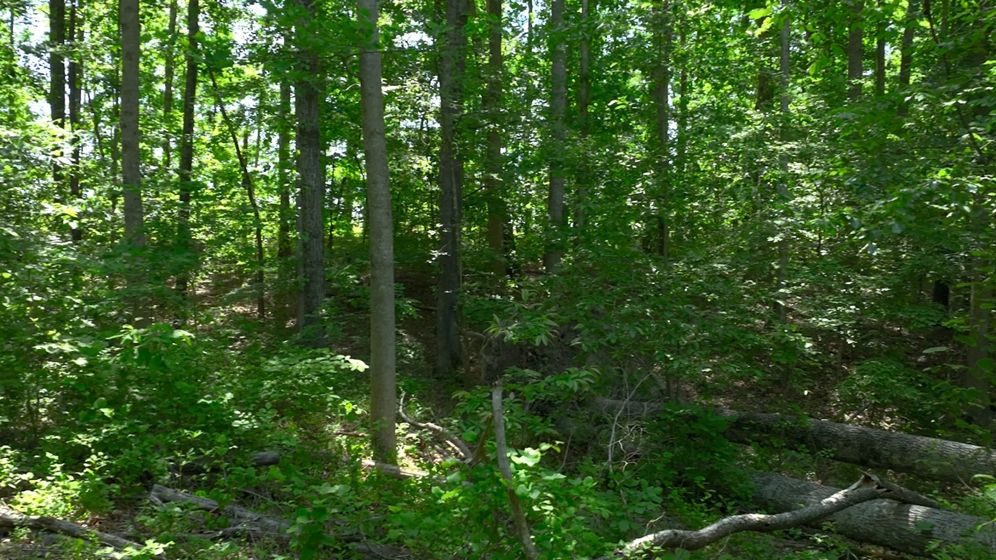 0 Oak Hill Property Photo 1