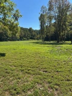 61 Chestnut Valley Road Property Photo 1