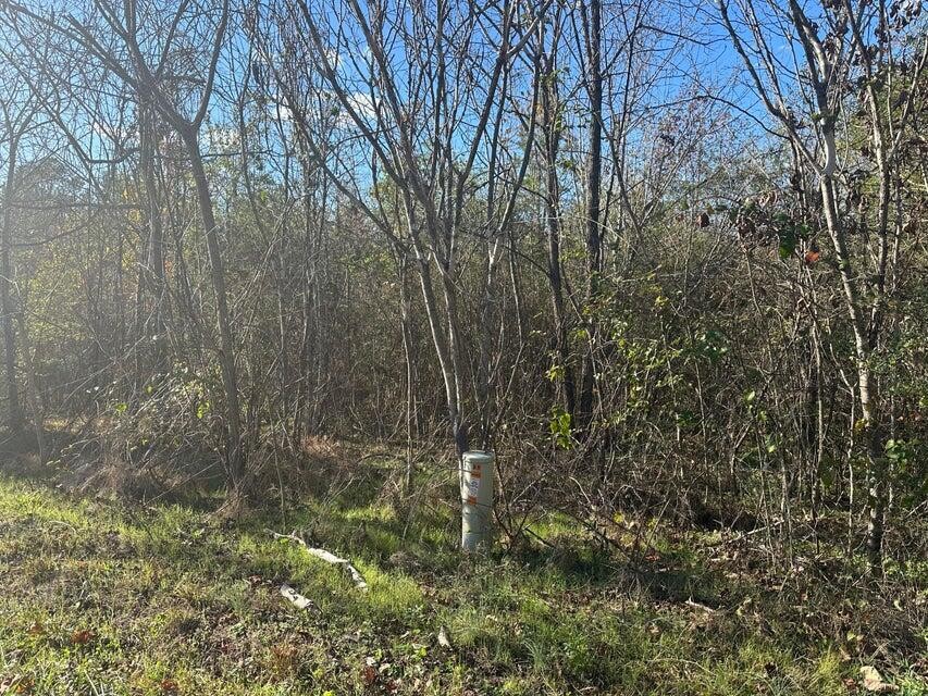 0 Mt Carmel Road Property Photo 1