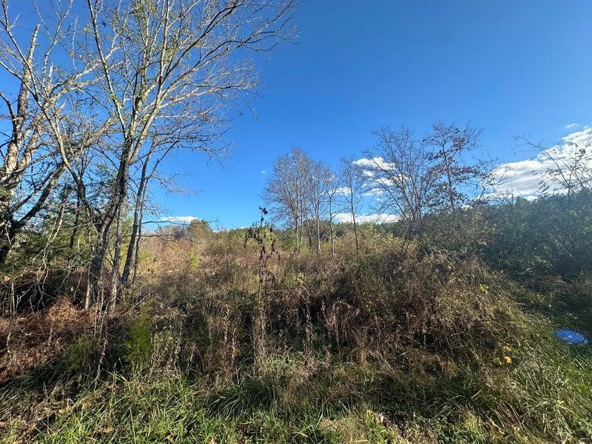 0 Mt Carmel Road Property Photo 2