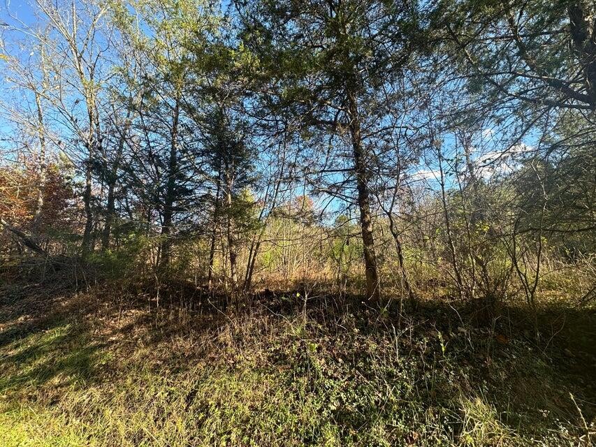 0 Mt Carmel Road Property Photo 4