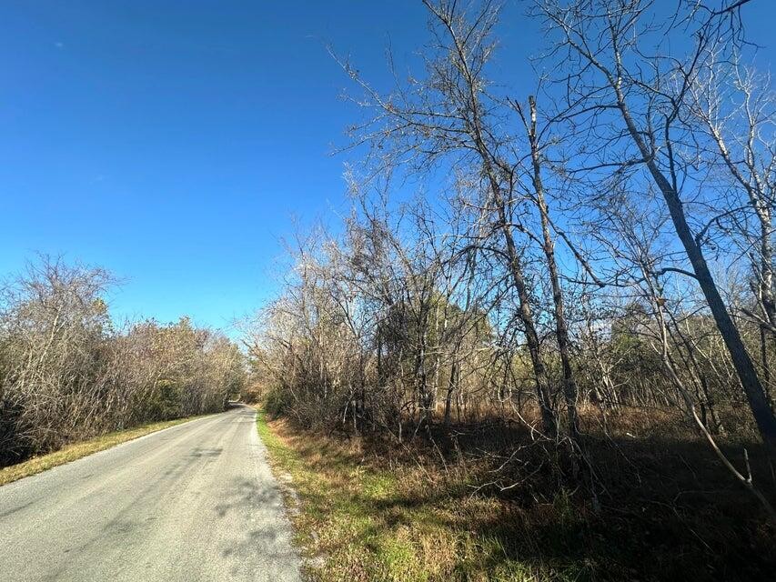0 Mt Carmel Road Property Photo 6