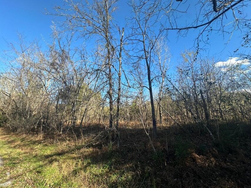 0 Mt Carmel Road Property Photo 7