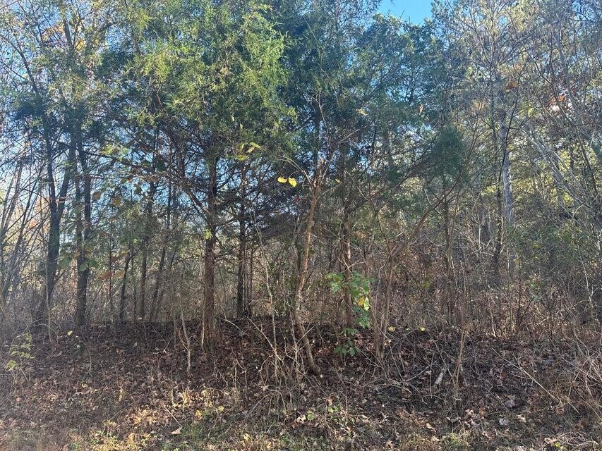 0 Mt Carmel Road Property Photo 9
