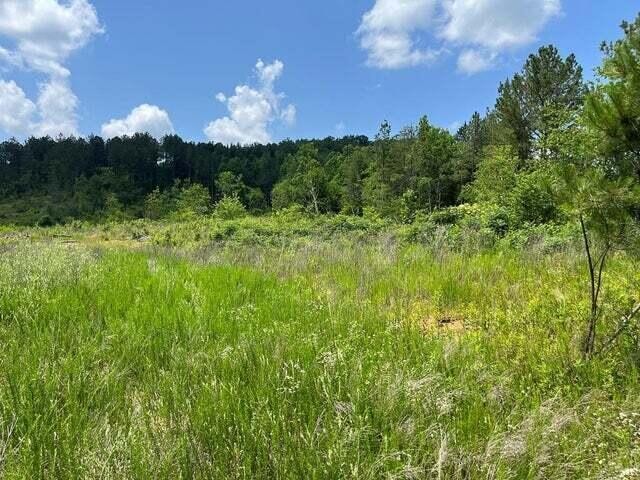 0 County Road Property Photo 1