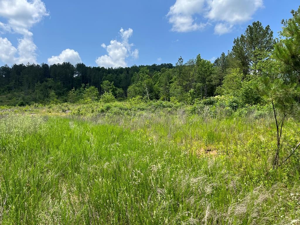 0 County Road 53 Property Photo 1