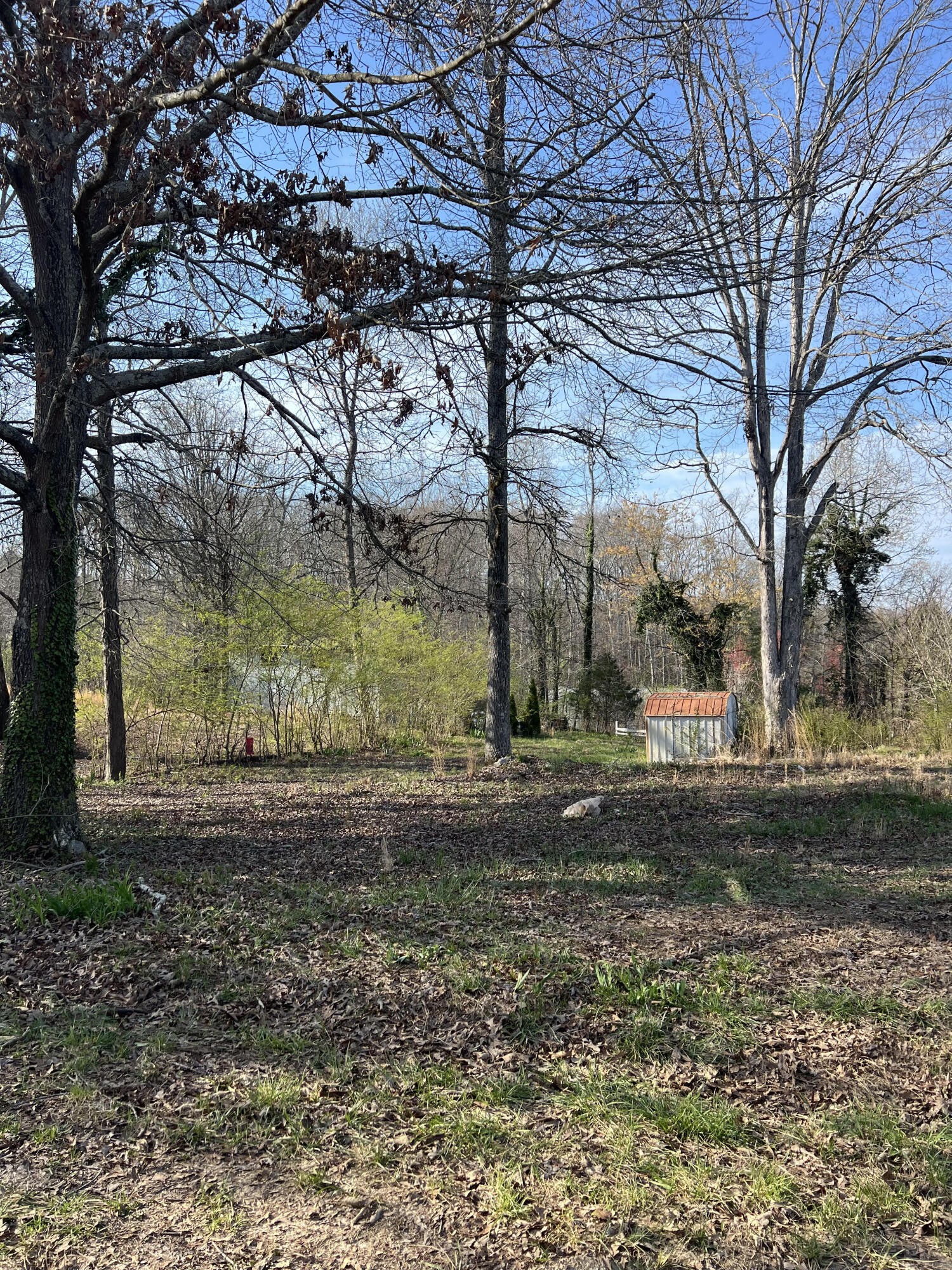 3 Hunter Drive Property Photo 1
