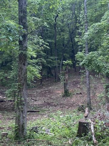 296 County Road 263 Property Photo 1