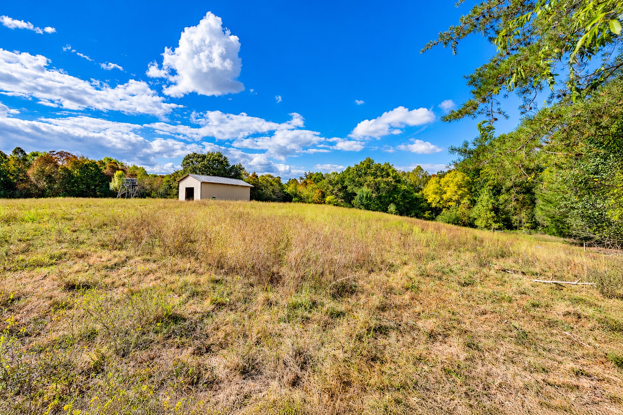 936 Cowboy Sams Drive Property Photo 4
