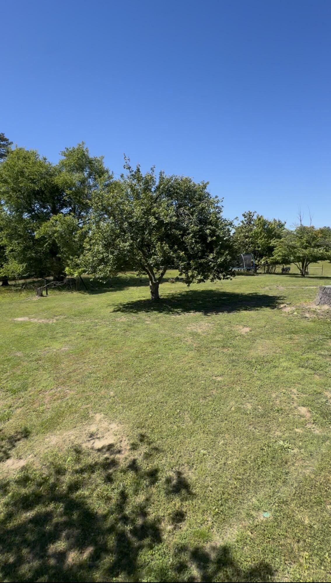 936 Cowboy Sams Drive Property Photo 40