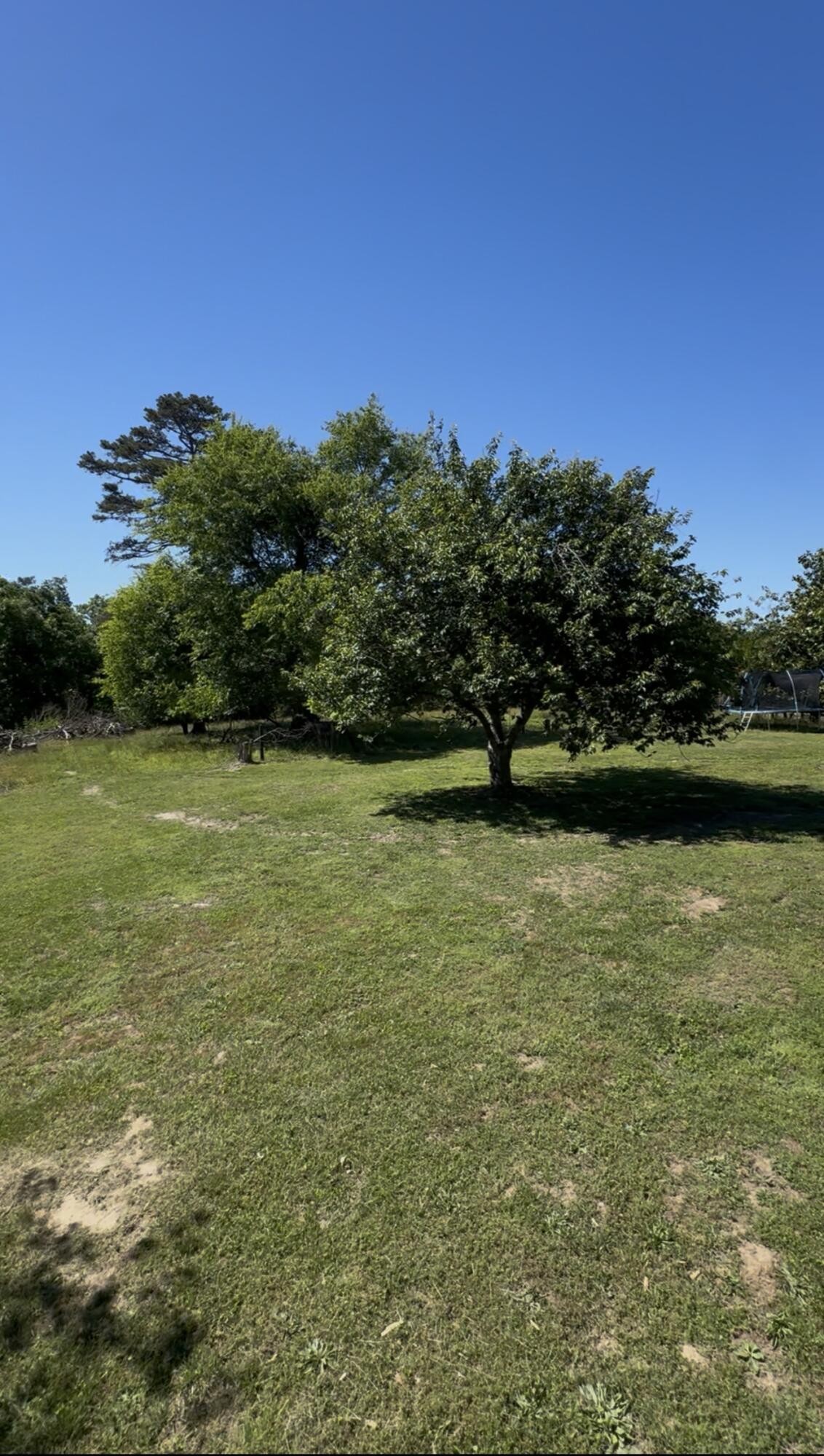 936 Cowboy Sams Drive Property Photo 41